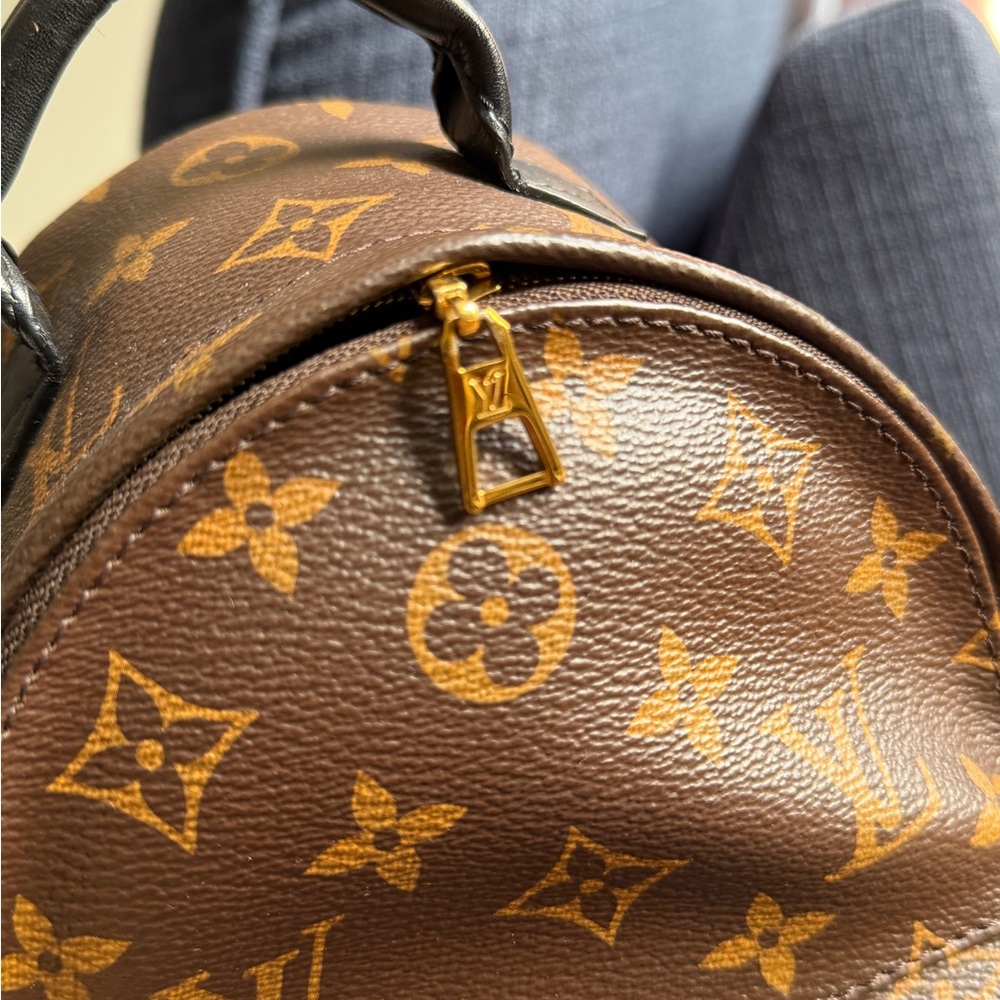 Louis Vuitton Monogram Mini Palm Spring Backpack - Picture 6 of 16